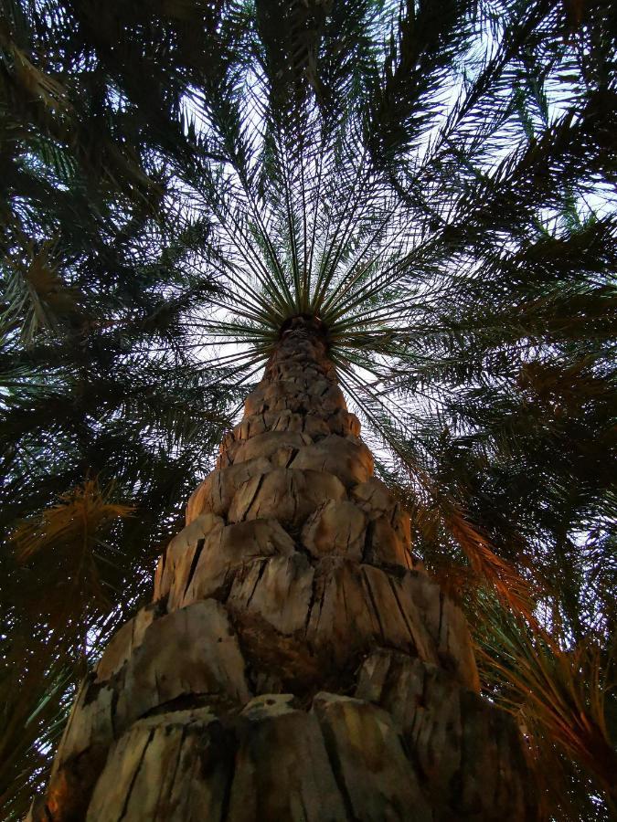 Alberi Lodge Hatta Exterior foto